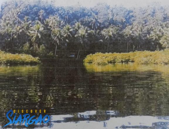 39,704 sqm Ocean Front For Sale in Cambas-ac Dapa Siargao Island Surigao 