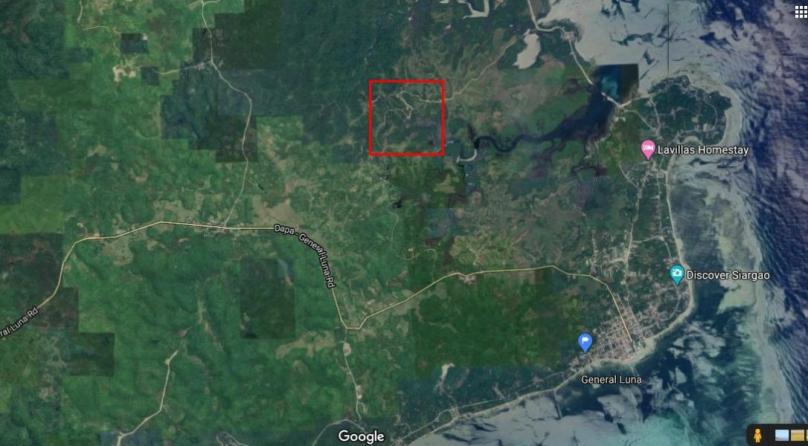 3 Hectare Lot For Sale in Magsaysay General Luna Siargao Island Philippines