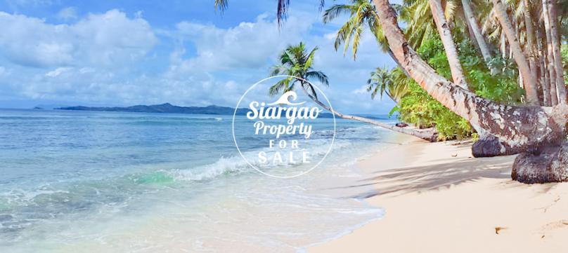 1.8 hectare Beach Front Lot For Sale in Siargao