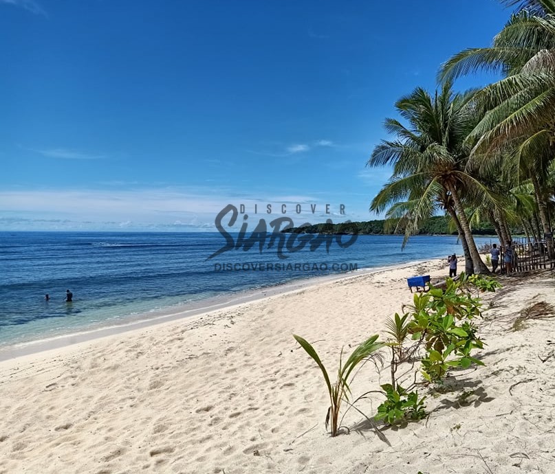 Beach Front For Sale Siargao