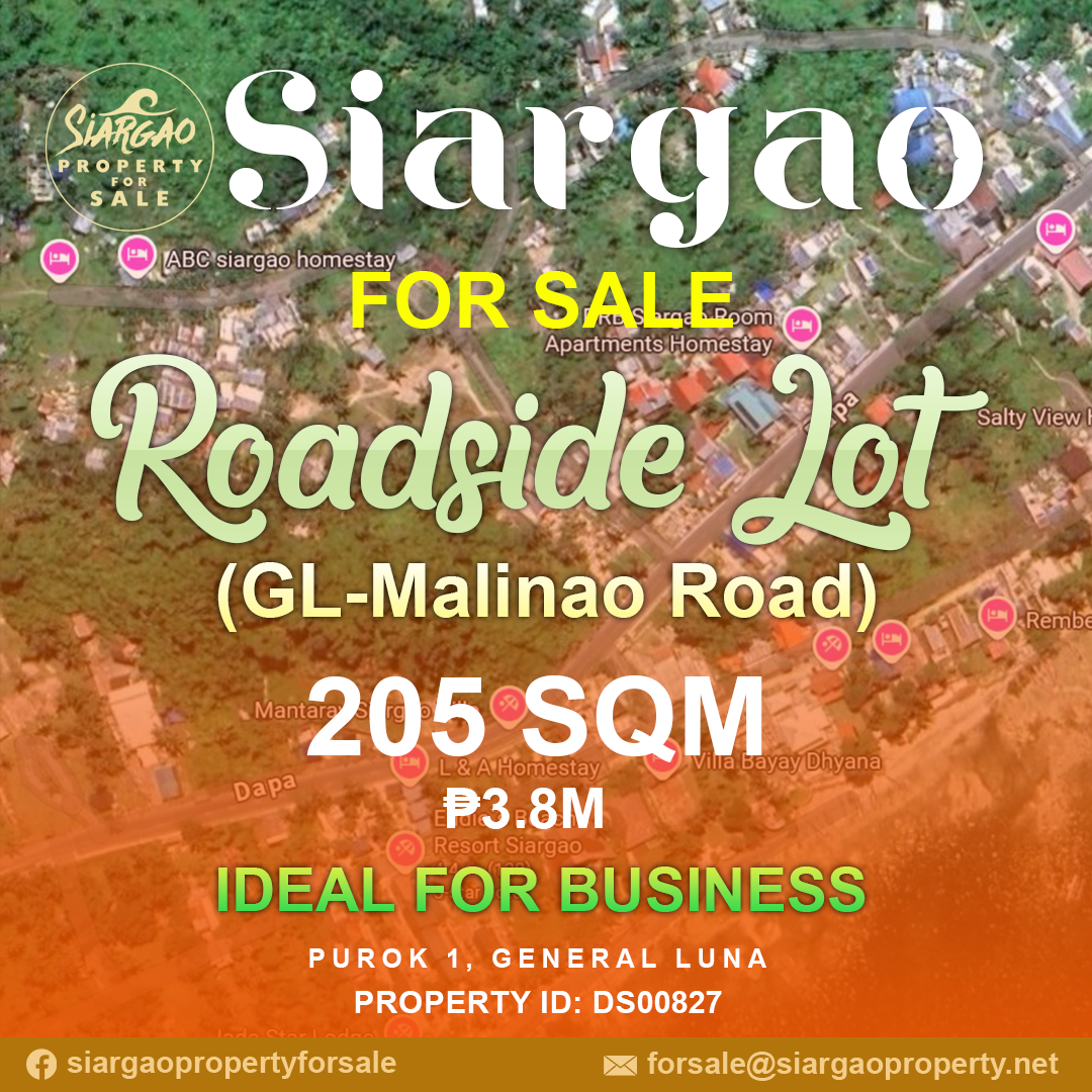 205 SQM Roadside along the road lot for sale siargao