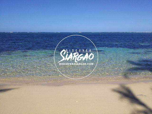  Lot For Sale in Alegria near surfing and beach Siargao