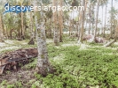 3,000 sqm Beach Front Property For Sale in Sta. Fe ,Siargao