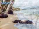 3,000 sqm Beach Front Property For Sale in Sta. Fe ,Siargao