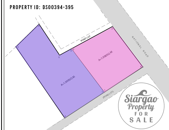 2 Million Lot For Sale in Pacifico near surfing and beach Siargao