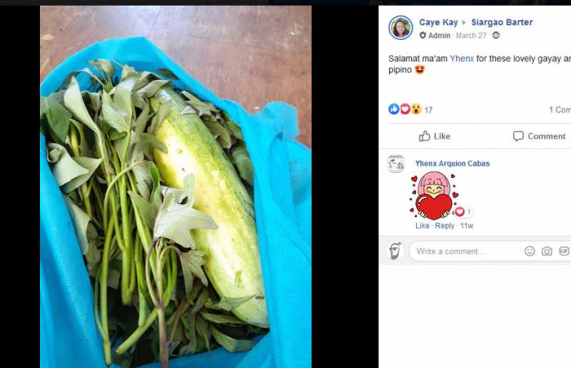Caye_Kay_Salamat_ma_am_Yhenx_for_these_lovely_gayay_and_pipino_first-siargao-barter.jpg