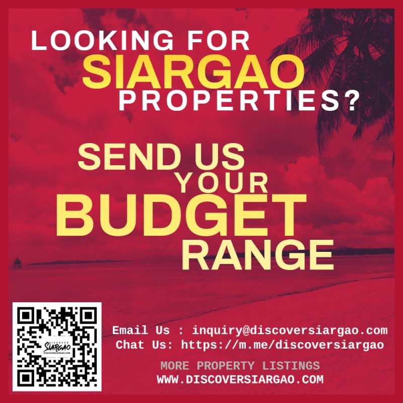 siargao-properties-for-sale-looking-for-budget_2020-10-28.jpg